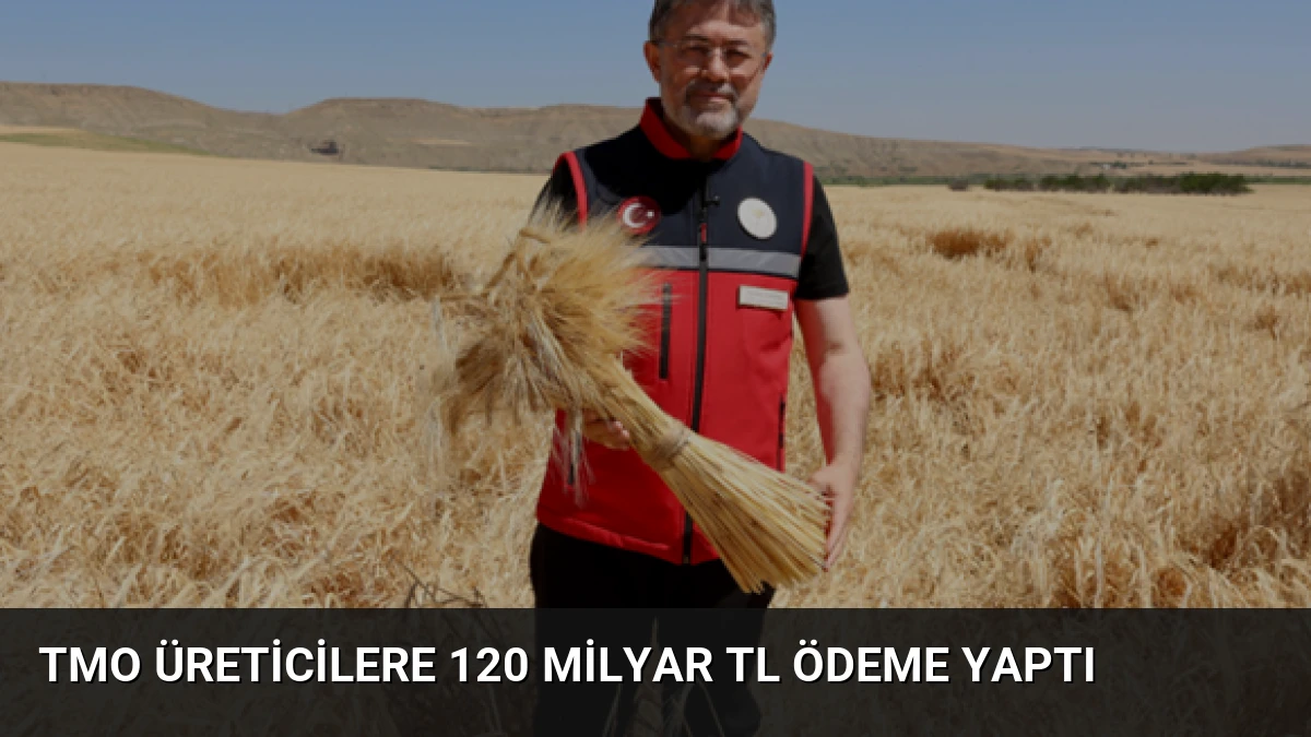 TMO Üreticilere 120 Milyar TL Ödeme Yaptı