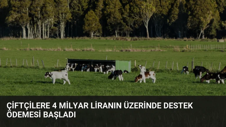 Çiftçilere 4 Milyar Liranın Üzerinde Destek Ödemesi Başladı