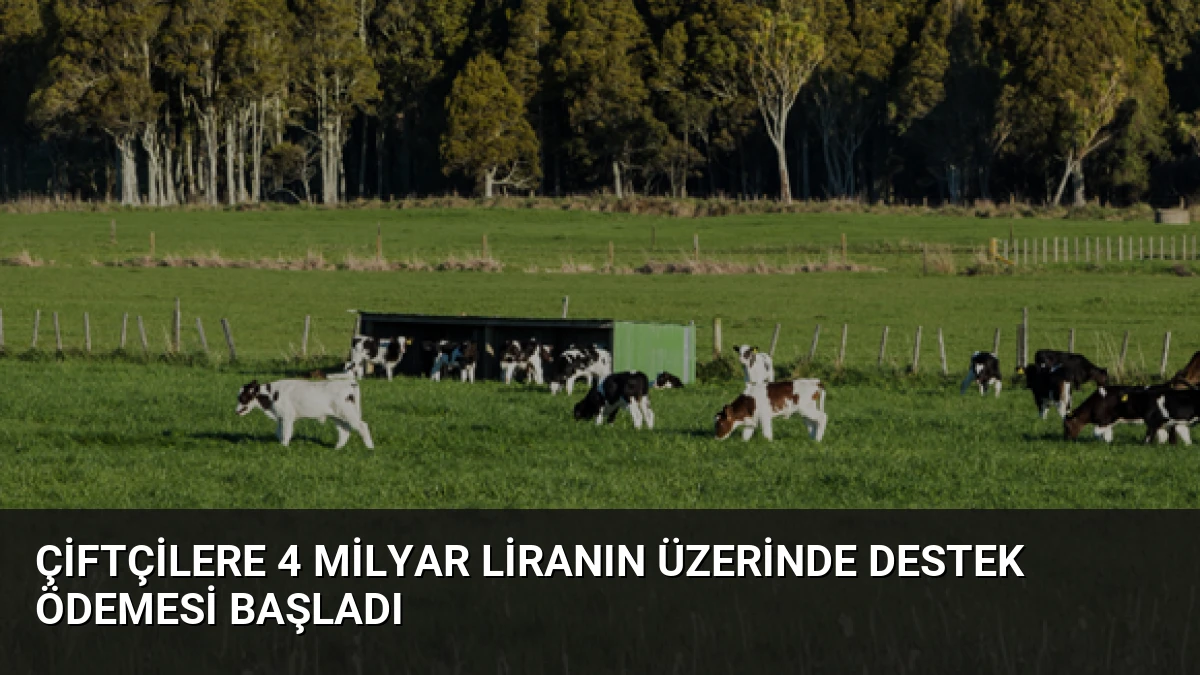 Çiftçilere 4 Milyar Liranın Üzerinde Destek Ödemesi Başladı