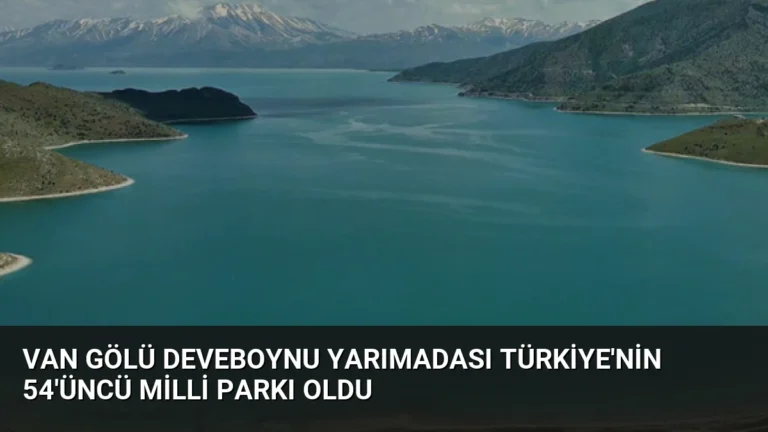 Van Gölü Deveboynu Yarımadası Türkiye’nin 54’üncü milli parkı oldu