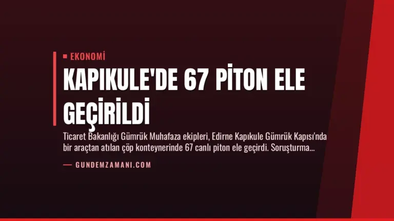 Kapıkule’de 67 Piton Ele Geçirildi